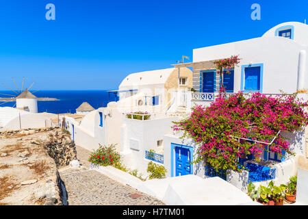 Typical white and blue Greek house decorated with red flowers in Oia village on Santorini island, Greece Stock Photo