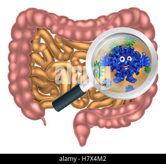 Magnifying glass focused on the human digestive system, digestive tract or alimentary canal showing a good happy probiotic bacte Stock Photo