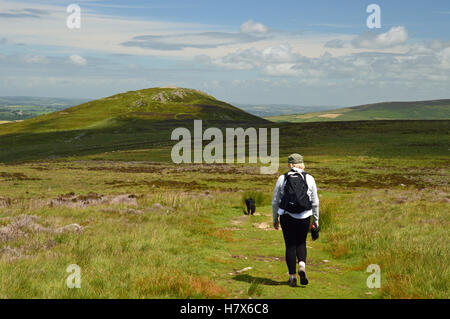 Walking in the Preseli Mountains, Pembrokeshire, Wales Stock Photo