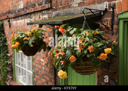 UK, England, Buckinghamshire, West Wycombe, Church Lane, begonia flowers in autumnal floral hanging baskets outside house door Stock Photo