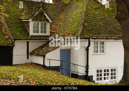 UK, England, Buckinghamshire, West Wycombe, Church Lane, moss and autumnal leaves on cottage roof Stock Photo