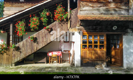 Dog sitting in front of the main entrance to traditional house in Cigoc Croatia Stock Photo