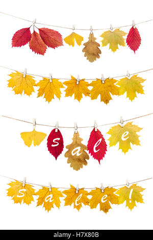 Autumn leaves.The multi-colored fallen autumn leaves for sale , hanged  on a clothesline with the pins, on a white background. Stock Photo