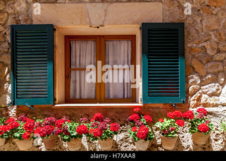 Window with open shutters and blooming flower pots,Window in flowers Stock Photo
