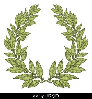 Laurel Green Bay leaf Hand drawn vector illustration. Vintage decorative laurel wreath. Sketch design elements. Perfect for invi Stock Vector