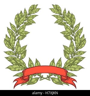 Laurel green with red ribbon Bay leaf Hand drawn vector illustration. Vintage decorative laurel wreath. Sketch design elements.  Stock Vector