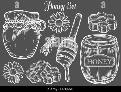 Honey jar, barrel, spoon, bee, honeycomb, chamomile, vintage set. Engraved organic food hand drawn sketch illustration. White is Stock Vector