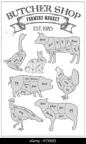 Cutting meat diagram guide cut scheme in vintage style. Chalk illustration graphic element for menu, banner. Steak cow pig chick Stock Vector