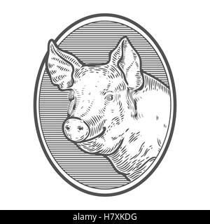 Pig head. Hand drawn sketch in a graphic style. Vintage vector engraving illustration with ribbon for poster, web. Isolated on w Stock Vector