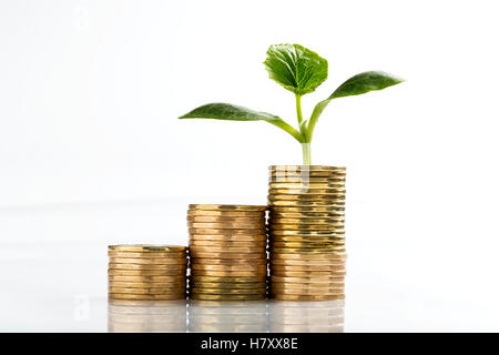 Close up of a row of stacked coins (Loonies) on a white background, with a seedling growing out of the highest stack; Calgary, Alberta, Canada Stock Photo