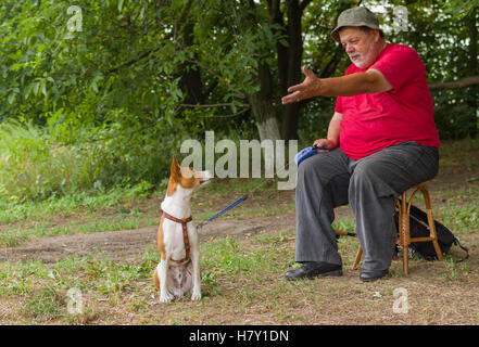 Senior man talks to his four-legged friend (basenji dog) sitting on a stool in summer park Stock Photo