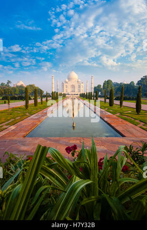 Plant foreground at empty Taj Mahal reflected in front lawn garden water fountain in Agra, India on a clear blue sky day. Vertic Stock Photo