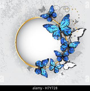 Round gold banner with blue butterflies morpho on gray textural background. Design with butterflies. Stock Vector