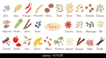 Big set of simple flat culinary spices. Silhouettes Stock Vector
