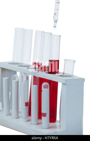 Close-up of test tube rack with test tubes Stock Photo