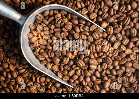 Fresh roasted coffee beans background with the metal scoop Stock Photo