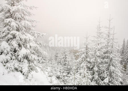 Beautiful winter landscape with snow covered trees Stock Photo - Alamy