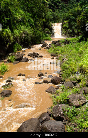 Waimea Falls after heavy rainfall in the Waimea Valley on Oahu, Hawaii, USA. Stock Photo