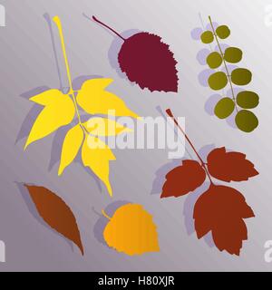 Silhouette of autumn leaves Stock Vector