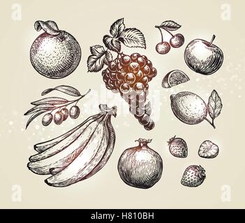 Set food sketch. Hand drawn fruits such as grape, cherry, apple, orange, olives, bananas, pomegranate, strawberry lemon Vector i Stock Vector