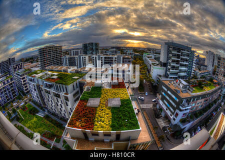 Sidney Australia, Over looking rooftops with gardens Stock Photo