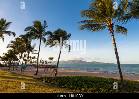 The Strand, Australia, Queensland, Townsville on the sea coast, with palm trees blowing in the wind. Stock Photo