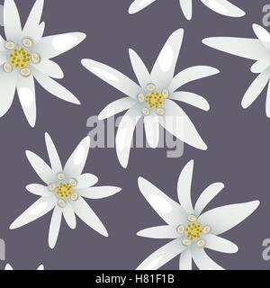 Seamless pattern with alpine edelweiss flowers.Vector illustration Stock Vector