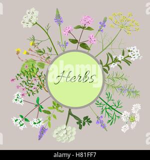 Vector card with herbs and plants. Vintage circle with herbal flowers illustration. Stock Vector