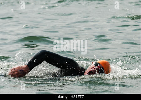 Male triathlete swims in the sea during an Olympic distance triathlon in Cobh, Ireland. Stock Photo