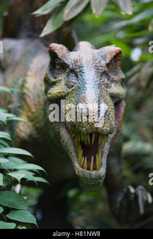 Close up of a animatronic Velociraptor dinosaur heading toward the camera Stock Photo
