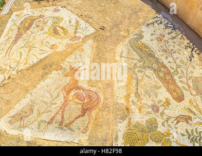 The animals and birds in mosaic of Carthage in archaeologcal site of the Roman villas Stock Photo