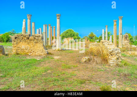 The rows of columns are the preserved part of the Punic temple in Carthage, Tunisia. Stock Photo