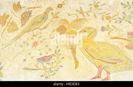 The ancient mosaics, depicting birds and different plants in archaeological site of Roman Villas, Carthage Stock Photo