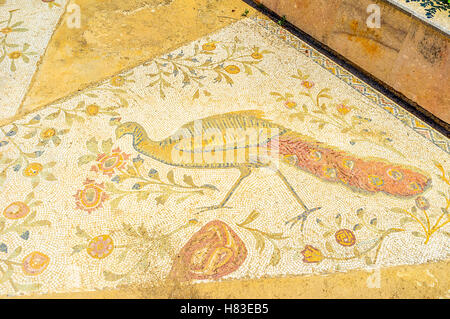 The ancient Roman mosaics with the peacock among the flowers, Carthage. Stock Photo
