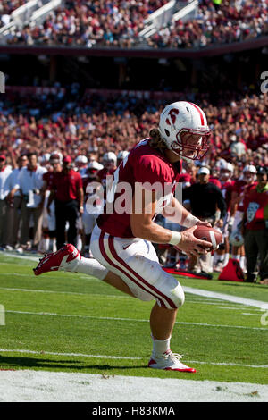 September 3, 2011; Stanford, CA, USA;  Stanford Cardinal fullback Ryan Hewitt (85) scores a touchdown against the San Jose State Spartans during the second quarter at Stanford Stadium. Stock Photo