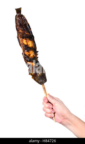 Grilled catfish with bamboo sticks, isolated on white background. Stock Photo