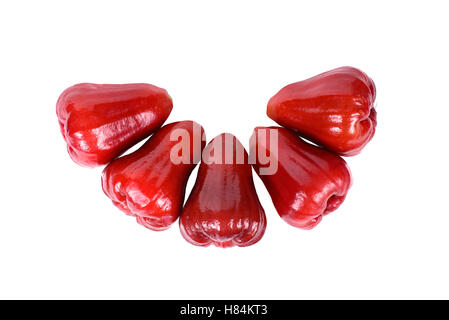 Rose apples or chomphu isolated on white background. Stock Photo