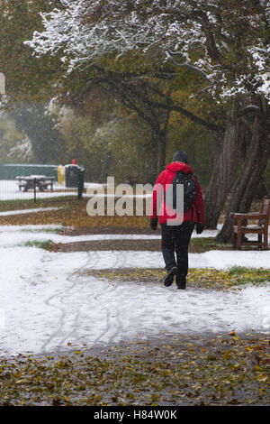 Riverside Gardens, Ilkley, West Yorkshire, UK. 9th November 2016. Female walker in Ilkley's first snowfall of 2016 - the lady, with backpack and in warm clothing, walks through Riverside Gardens Park in Autumn.  Credit:  Ian Lamond/Alamy Live News Stock Photo
