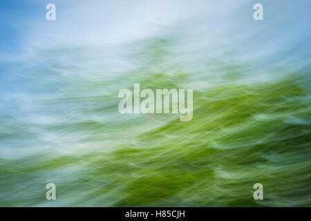 Colorful abstract background, natural motion blur Stock Photo