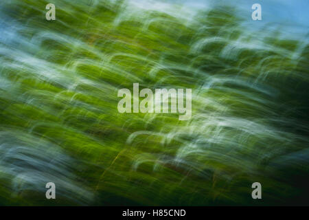Colorful abstract background, natural motion blur Stock Photo