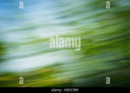 Colorful abstract background, natural motion blur Stock Photo