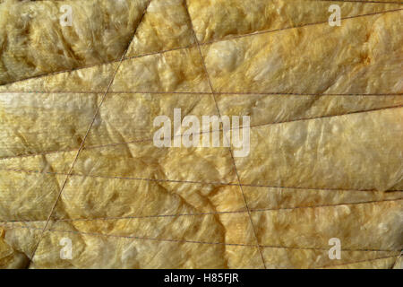 New wooden  house wall with mineral wool fixed with string, architecture background Stock Photo