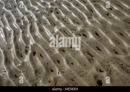 Am Strand.  Langeoog Deutschland Germany.  Organic patterns running diagonally are left in the sand on the beech by the receding sea at low-tide.  The shallow water glistens under the sun light and tiny sea life remains captured in the shallow puddles. Stock Photo