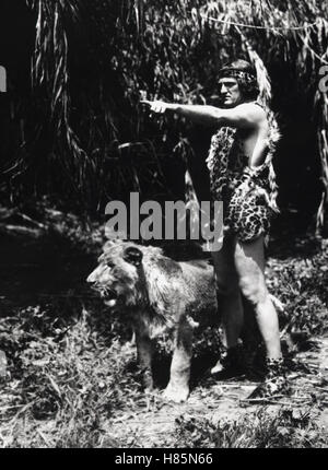 Tarzan und der goldene Löwe, (TARZAN AND THE GOLDEN LION) USA 1927, Regie: J.P. McGowan, JAMES PIERCE Stock Photo
