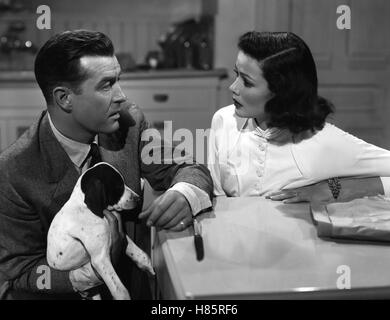 Ein Herz für Danny, (CLOSE TO MY HEART) USA 1951, Regie: William Keighley, RAY MILLAND, GENE TIERNEY, Stichwort: Hund Stock Photo