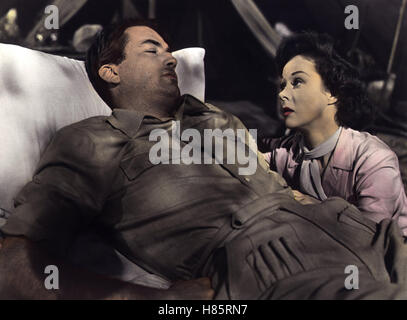 Schnee am Kilimandscharo, (THE SNOWS OF KILIMANJARO) USA 1952, Regie: Henry King, GREGORY PECK, SUSAN HAYWARD Stock Photo