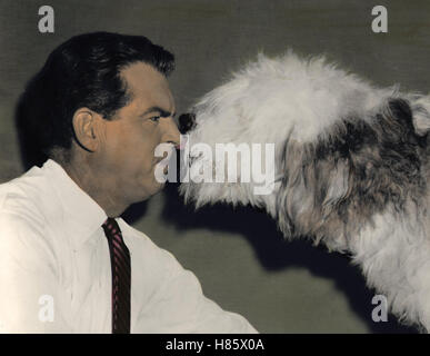 Der unheimliche Zotti, (THE SHAGGY DOG) USA 1959, Regie: Charles Barton, FRED MacMURRAY, Stichwort:  Tier, Hund, Kuß Stock Photo