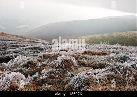 Mountainsides with frozen grass and fog on hill. Stock Photo