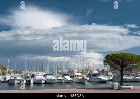 With its quaint quays and canals, Martigues is often called the 'Venice of Provence', France Stock Photo