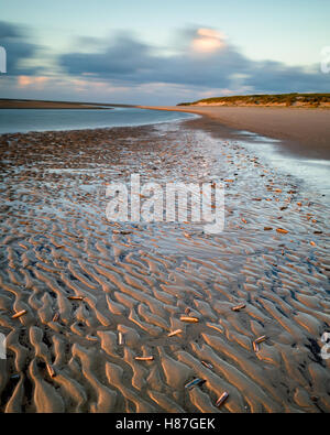 Süderdünen, Langeoog.  Deutschland.  Germany.  A view along the beech at low tide in the golden hour.  The soft warm sunshine reflects on the water in the shallow pools-of-water that remain in the deep patterns in the sun.  The long exposure causes movement blur in the fast moving clouds.  Stranded razor shells litter the beach. Stock Photo